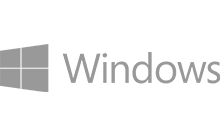 Icon Windows